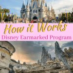 Earmarked Disney Travel Agencies: Your Go-To for a Magical Disney Experience