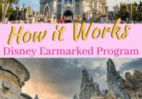 Earmarked Disney Travel Agencies: Your Go-To for a Magical Disney Experience