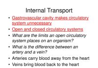 What is the Internal Transport Capability? Unlocking the Secrets of Cellular Logistics