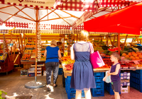 Featured image for Tips for Traveling Sustainably While Adventuring
