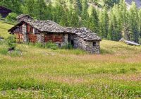 Featured image for The Rise of Eco-Friendly Accommodations in 2025