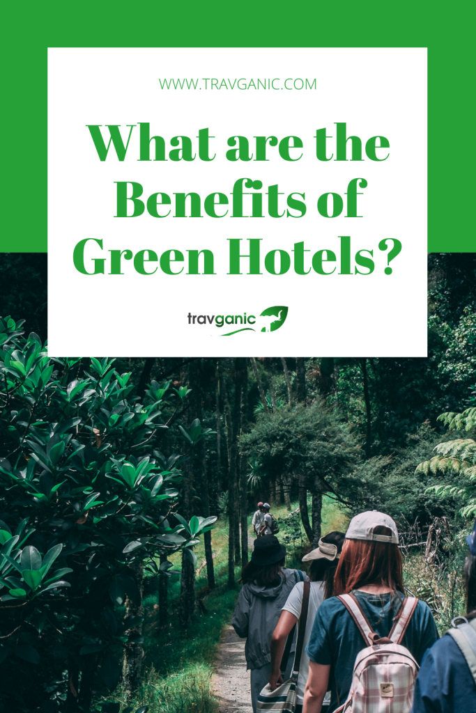 Content image for The Benefits of Staying in Green Hotels During Your Travels