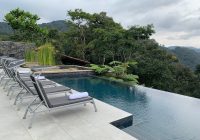 Featured image for The Top Wildlife Safaris to Experience in 2025