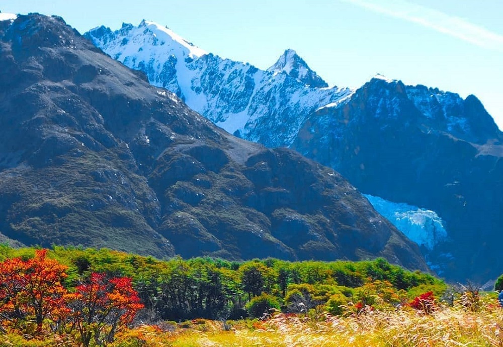 Content image for The Top Wildlife Safaris to Experience in 2025