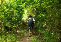 Featured image for The Rise of Eco-Tourism: Adventures That Give Back