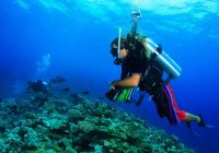 Featured image for The Allure of Water Sports Destinations in 2025