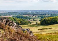Featured image for The Benefits of Staying at Eco-Conscious Bed and Breakfasts