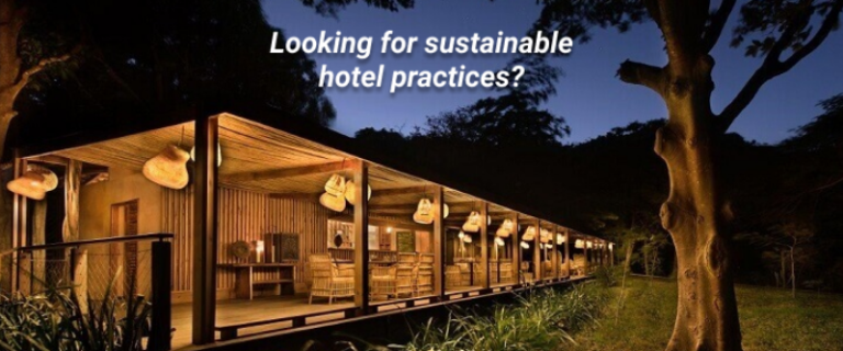 Content image for The Role of Technology in Sustainable Hotel Practices