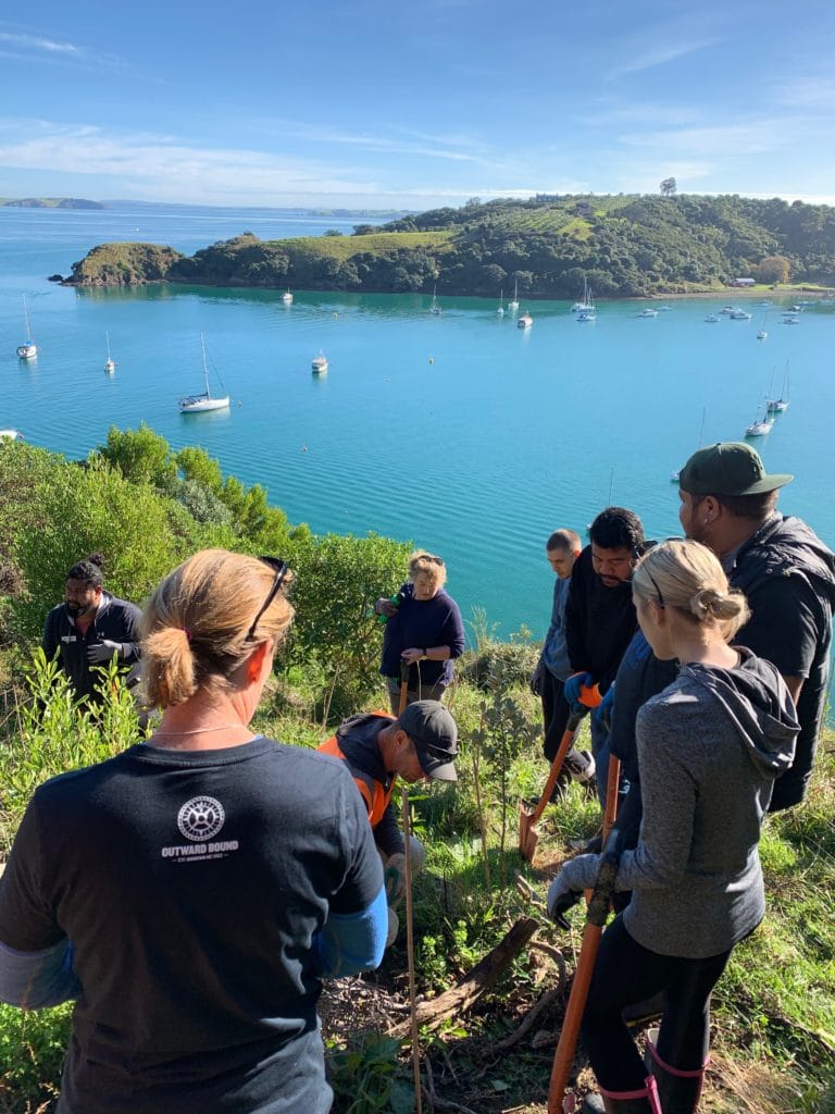 Content image for How to Support Conservation Efforts Through Your Accommodation Choices