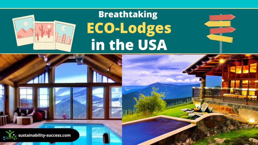 Content image for Tips on Finding Pet-Friendly Eco-Lodges