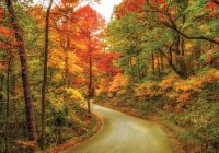 Featured image for The Allure of Scenic Drives: Top Routes to Explore in 2025