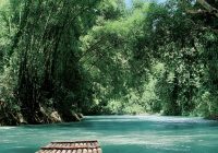 Featured image for Exploring the Benefits of Using Ferries for Island Hopping
