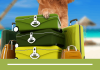 Featured image for A Complete Guide to Traveling with Pets