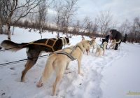 Featured image for Exploring Unique Modes of Transport Around the World